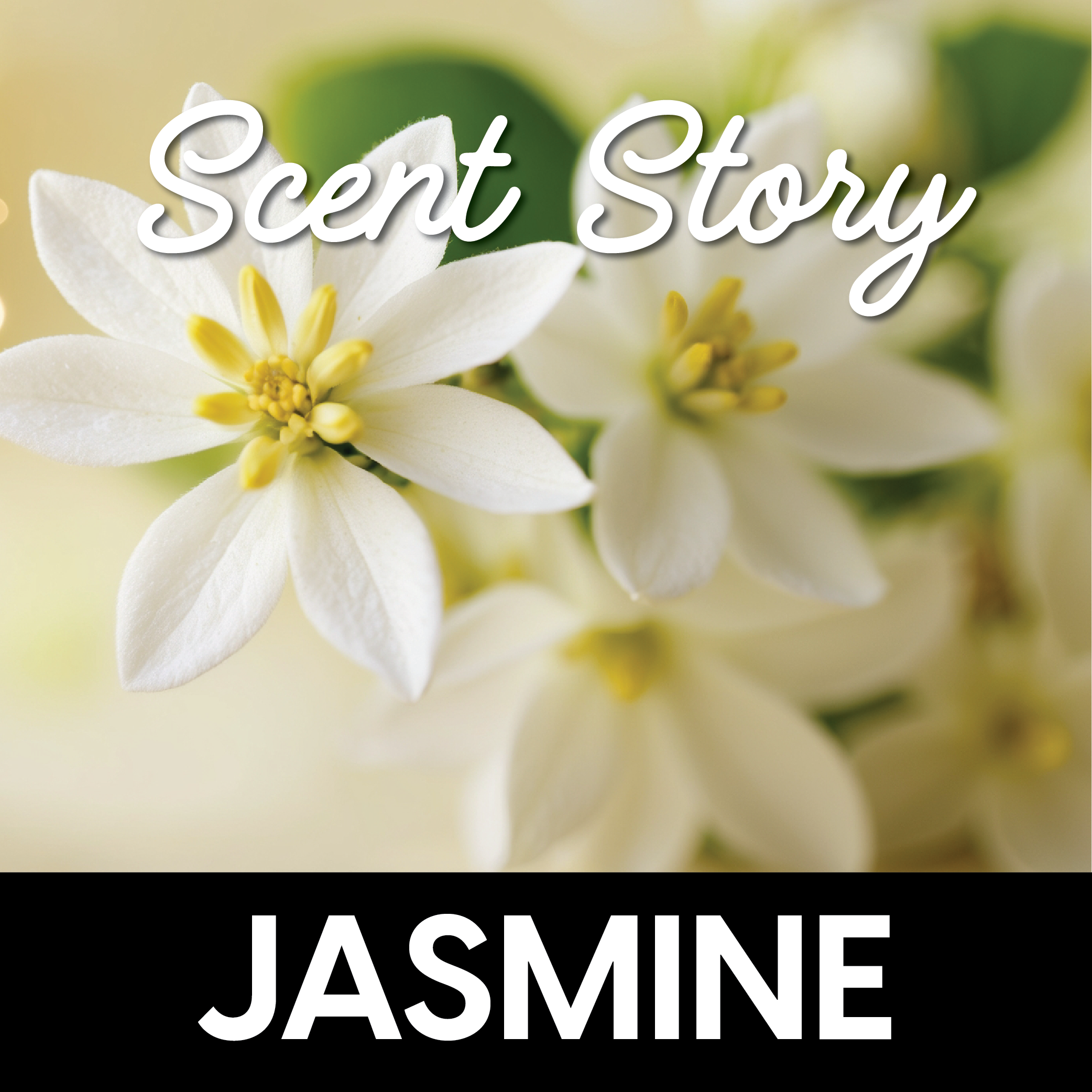 Scent Story: What Does Jasmine Smell Like?