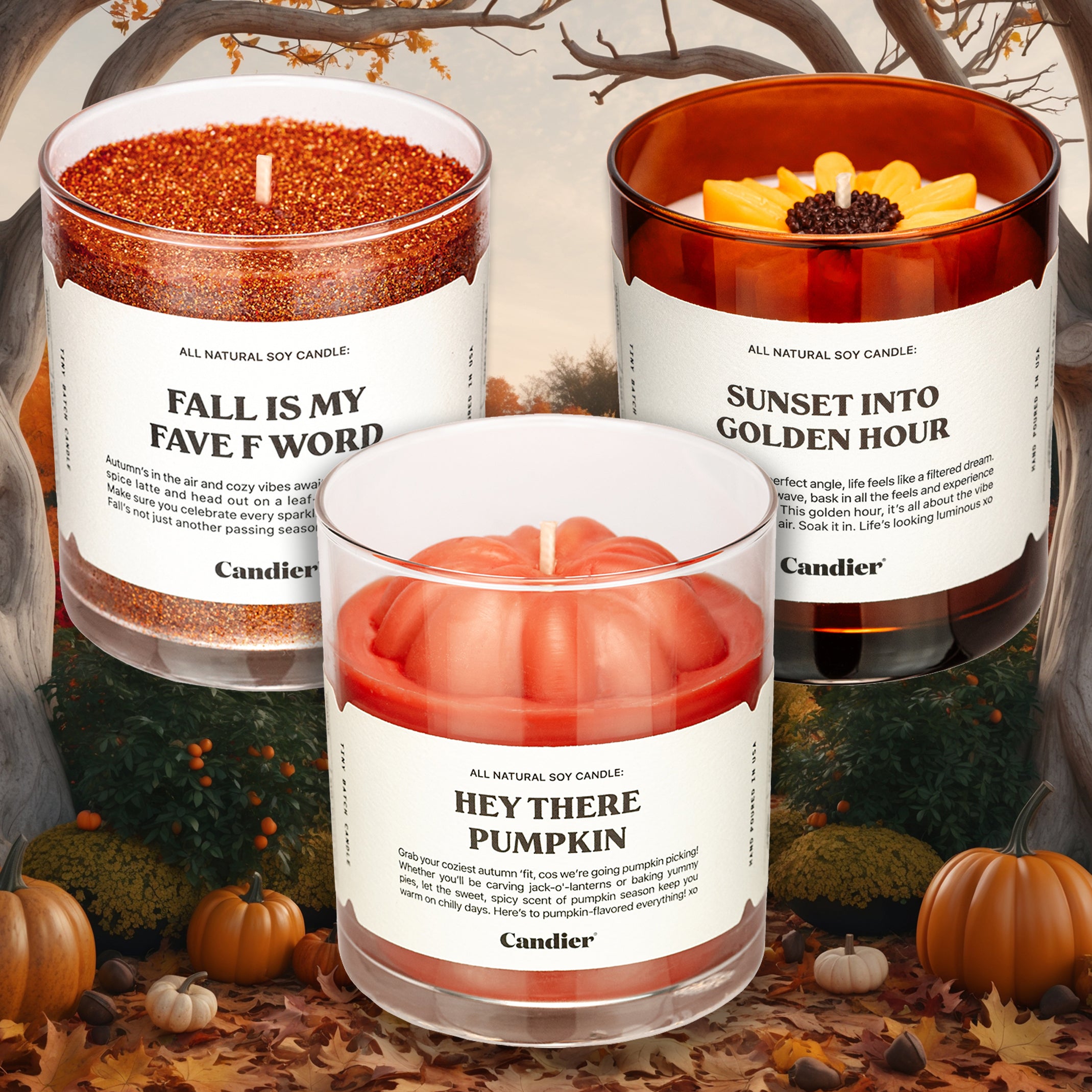 An image with 3 autumn fall themed candles, one is sparkling glitter with a label that reads Fall Is My Fave F Word. The second has a molded wax sunflower and a message that reads Sunset Into Golden Hour. The last has a cute mini wax pumpkin and a label that says Hey There Pumpkin. With a whimsical, autumn decor baclground