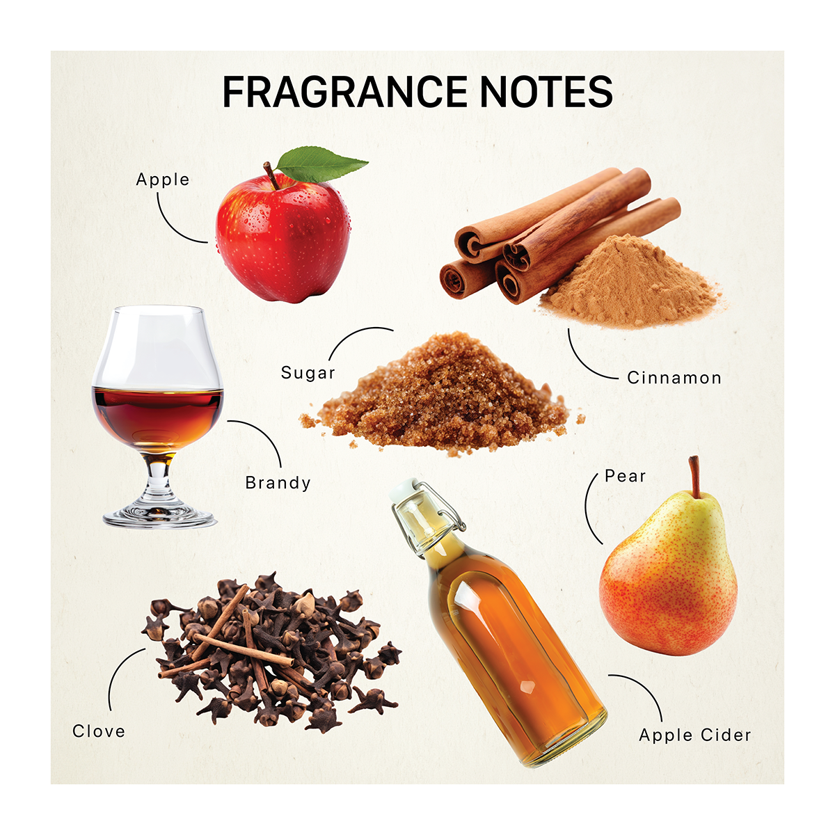 Fragrance ingredients including apple, cinnamon, brandy, sugar, pear, apple cider, and clove