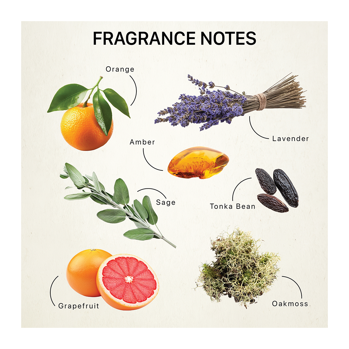 Fragrance notes including orange, lavender, amber, tonka bean, oak moss, grapefruit, and sage