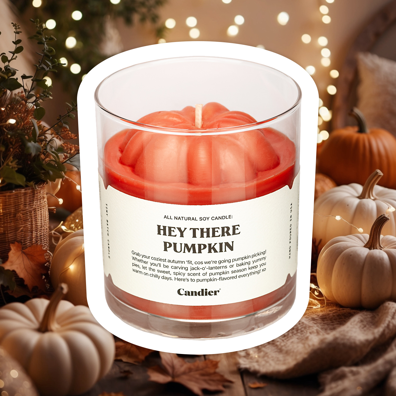 A cute autumn fall candle with a molded wax pumpkin on top and, label that reads Het There Pumpkin, with a cozy background of autumn decor, sparkling lights, cozy blankets, various sized pumpkins