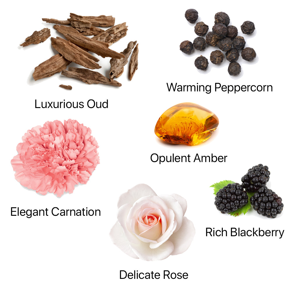 An assortment of fragrance ingredients, including Oud, Peppercorn, Blackberry, Rose, Carnation, Amber