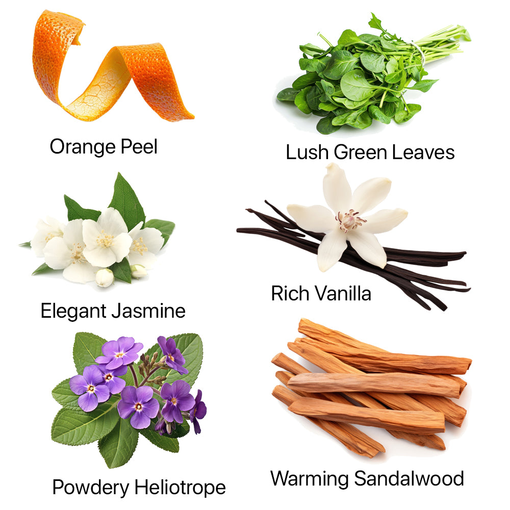 Fragrance ingredients including Orange, Green Leaves, Jasmine, Heliotrope, Sandalwood, Musk, Vanilla