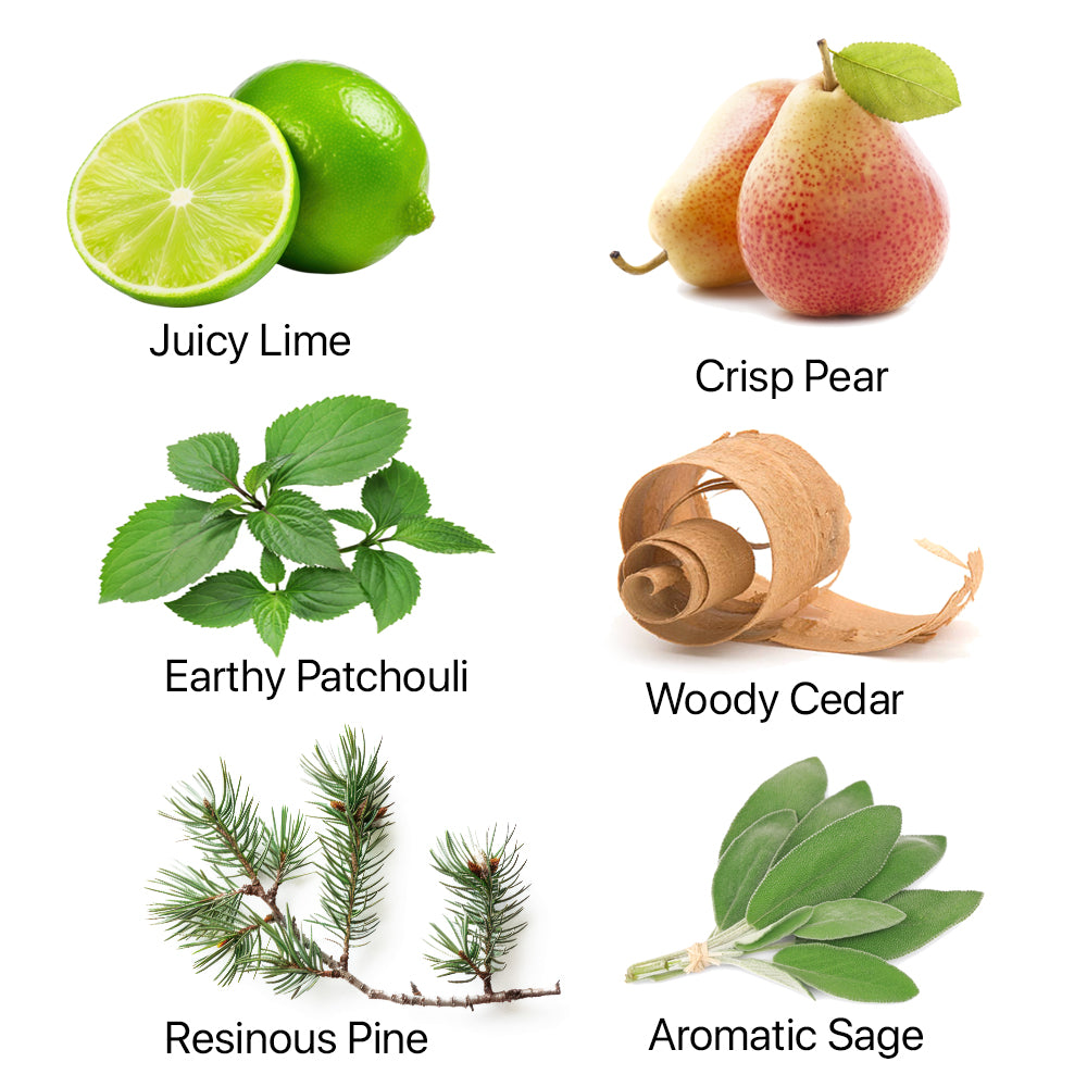 Fragrance ingredients including Lime, Pear, Patchouli, Sage, Balsam, Pine, Cedar