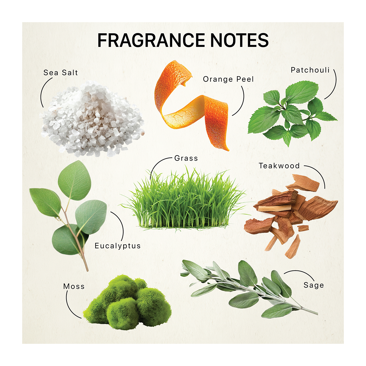 Fragrance ingredients including sea salt, orange peel, patchouli, grass, eucalyptus, teakwood, sage and moss