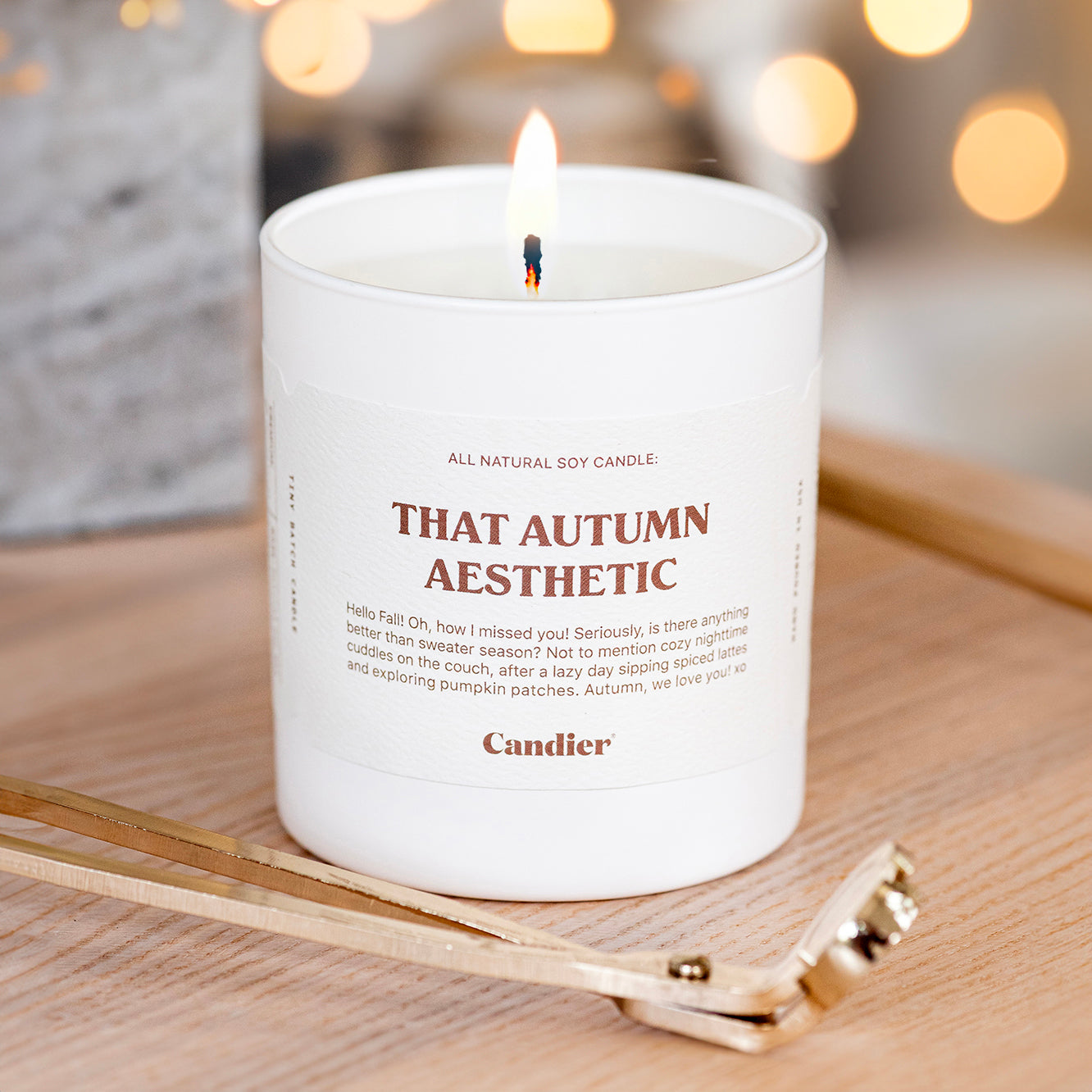 THAT AUTUMN AESTHETIC CANDLE