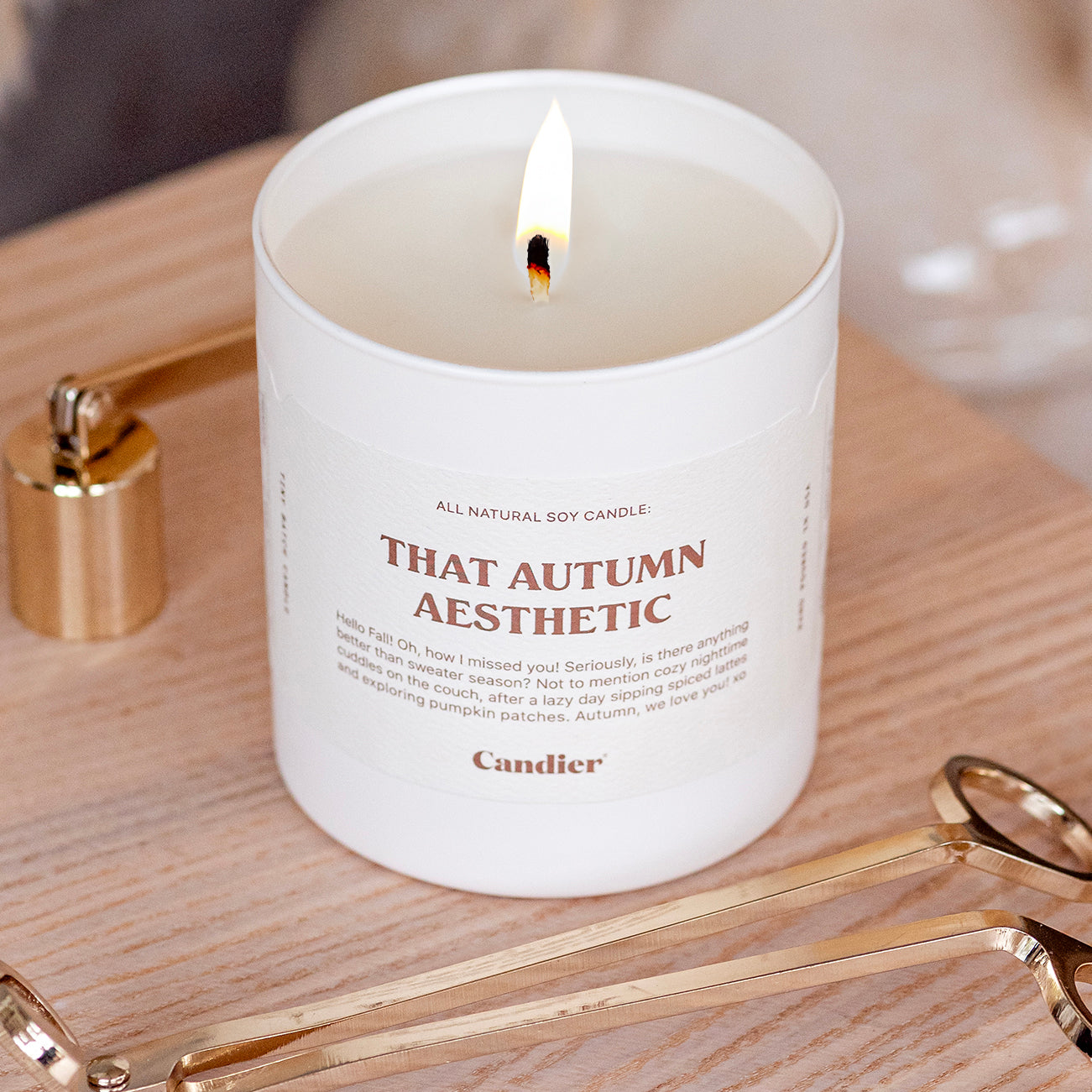 THAT AUTUMN AESTHETIC CANDLE